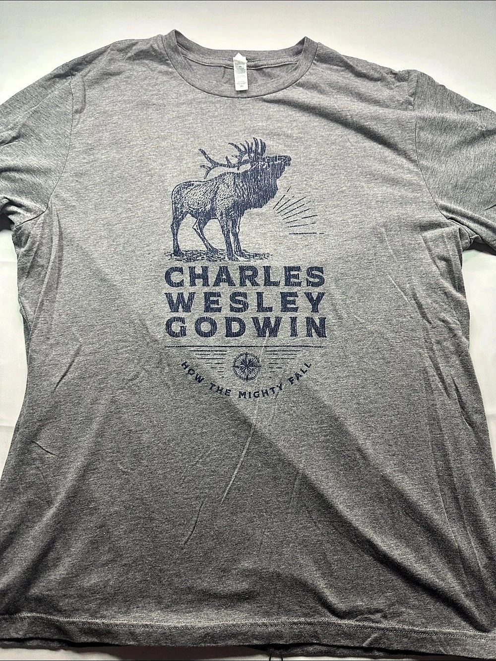 Canvas Charles Wesley Godwin Mighty Fall graphic tee Graphic Tee Gray 2XL Like